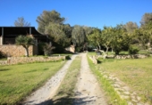 Xalet independent amb terreny en venda a la España, Sant Joan, ref.: TR264790 foto