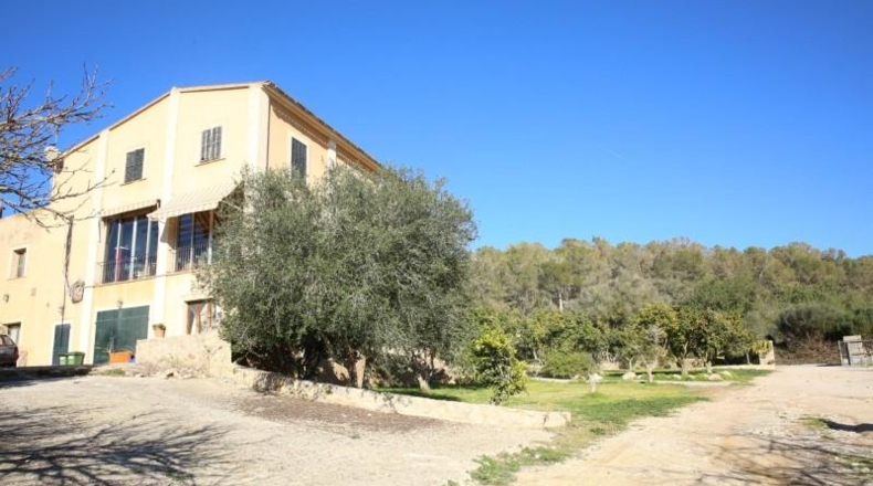 Balearic Islands - San Juan - 14763m2