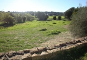Xalet independent amb terreny en venda a la España, Sant Joan, ref.: TR264790 foto