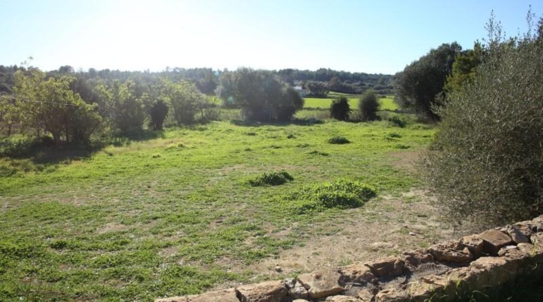 Balearic Islands - San Juan - 14763m2
