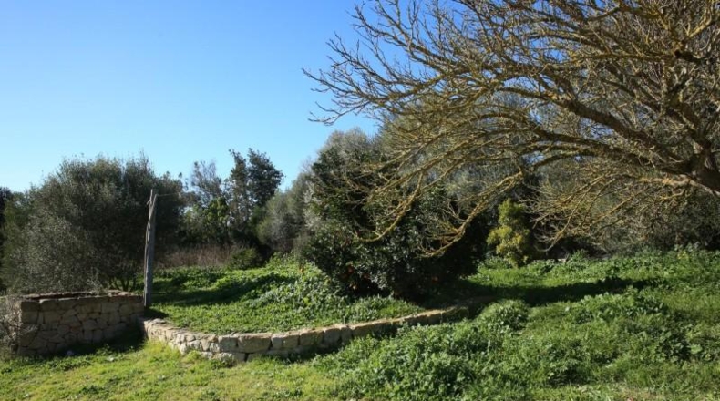 Balearic Islands - San Juan - 14763m2