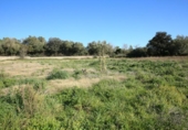 Xalet independent amb terreny en venda a la España, Sant Joan, ref.: TR264790 foto