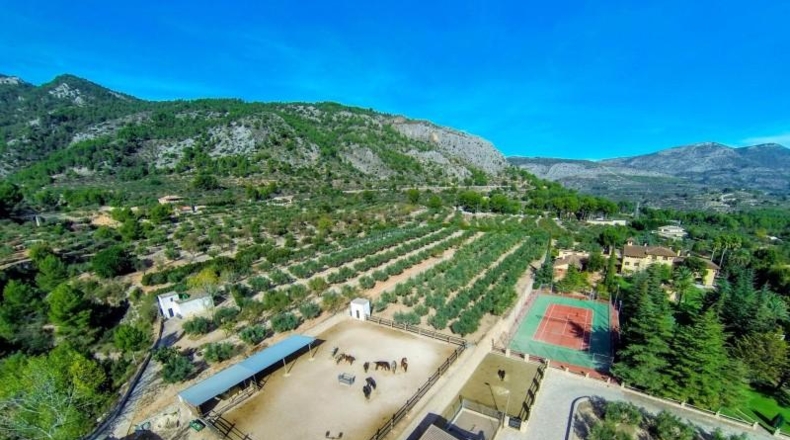 Alicante - Muro de Alcoy - 19507m2