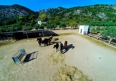 Xalet independent amb terreny en venda a la España, Muro d'Alcoi, ref.: TR237235 foto
