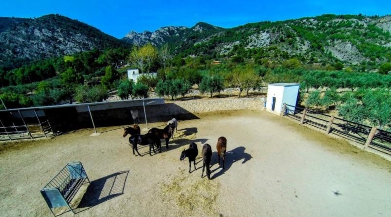 Alicante - Muro de Alcoy - 19507m2