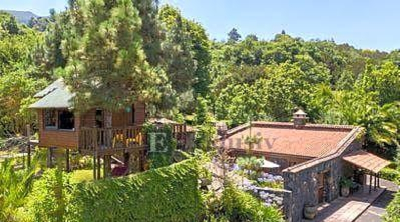 Santa Cruz de Tenerife - La Orotava - 20000m2