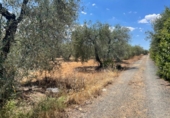 Land suitable for development for sale on España, Arahal, ref: TR115673 photo