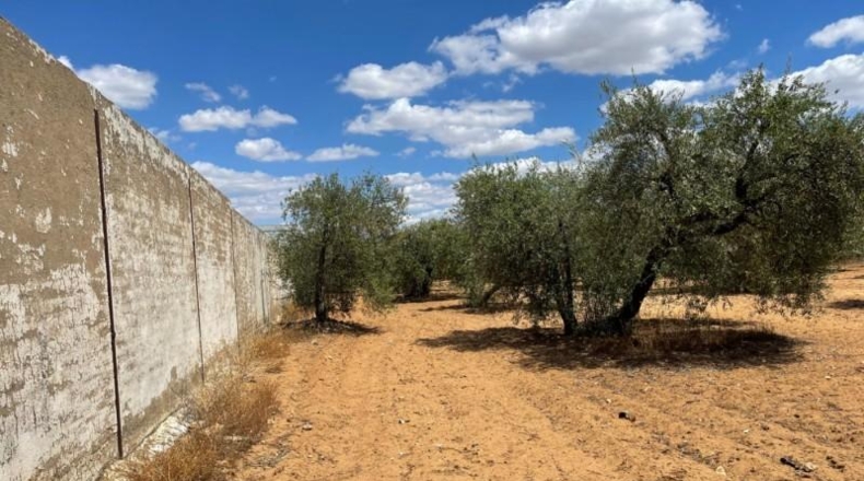 Seville - Arahal - 30000m2