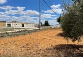 Land suitable for development for sale on España, Arahal, ref: TR115673 photo