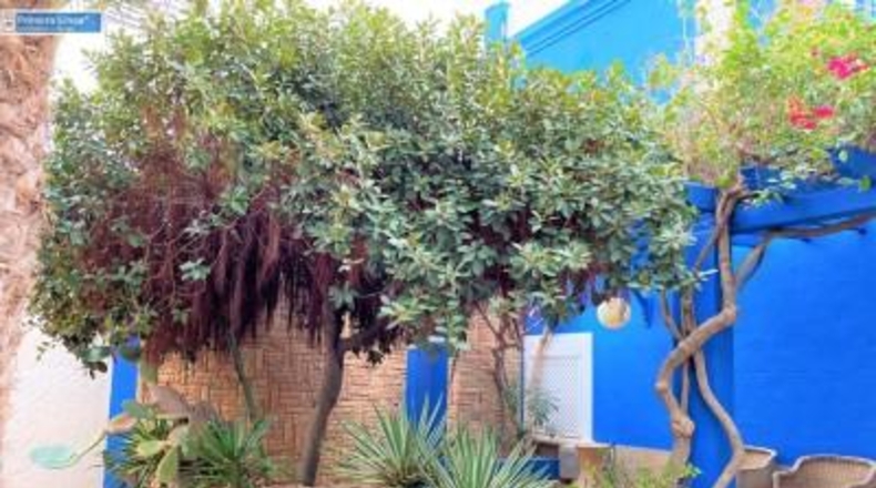 Murcia - Cartagena - 966m2