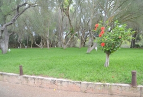 Foto 18
