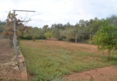Xalet independent amb terreny en venda a la España, Palma, ref.: TR136834 foto
