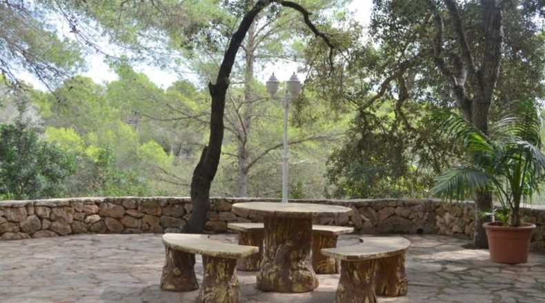 Islas Baleares - Algaida - 71286m2