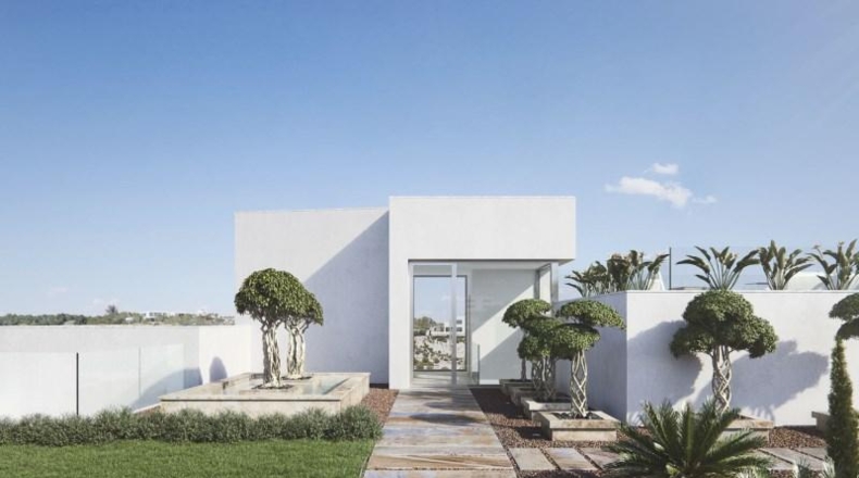 Alicante - Orihuela - 2200m2