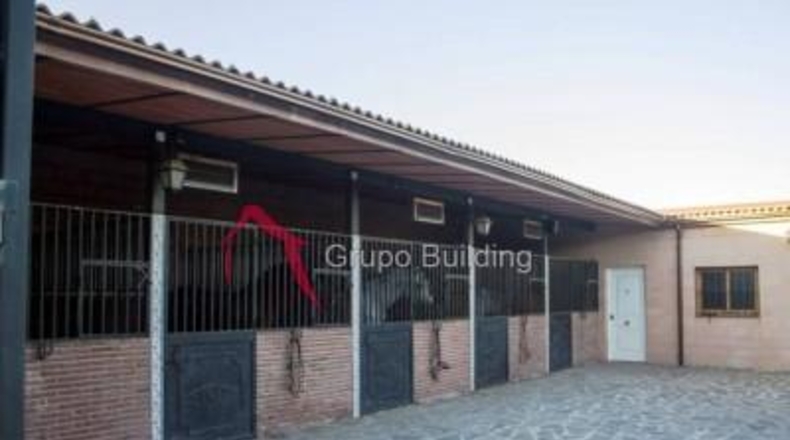 Málaga - Alhaurín el Grande - 20000m2
