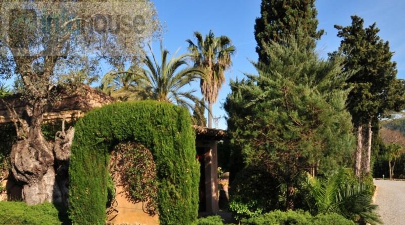 Islas Baleares - Pollença - 8500m2