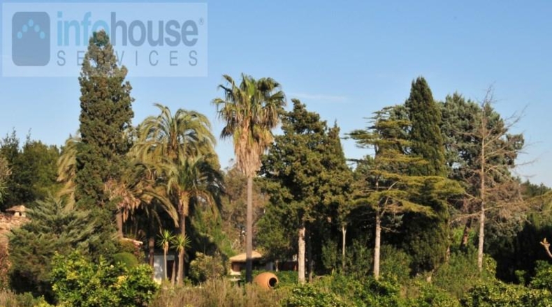 Islas Baleares - Pollença - 8500m2