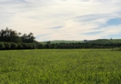 Sòl urbà en venda a la España, Jerez de la Frontera, ref.: TR125962 foto