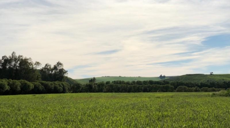 Cádiz - Jerez - 59107m2