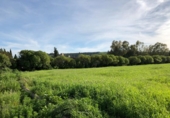 Sòl urbà en venda a la España, Jerez de la Frontera, ref.: TR125962 foto