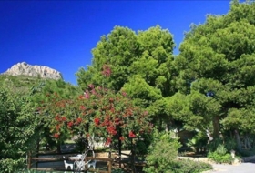 Foto 9