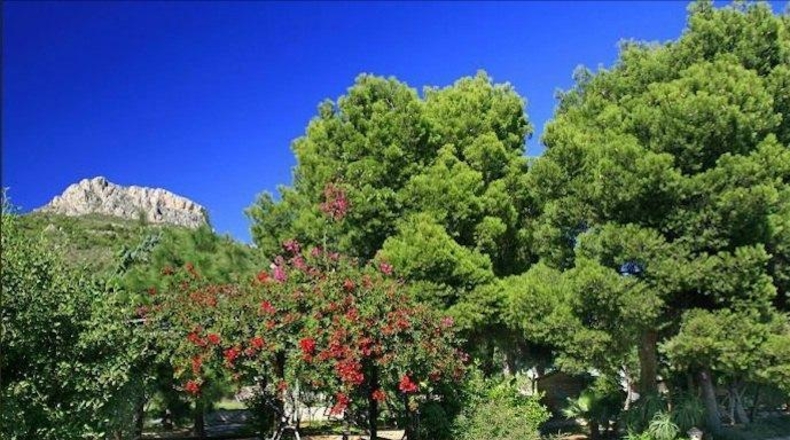 Alicante - Calpe - 8050m2