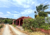 Casa de camp amb terreny en venda a la España, Estepona, ref.: TR249572 foto