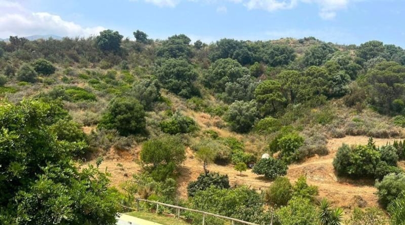Málaga - Estepona - 49000m2