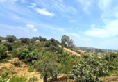 Casa de camp amb terreny en venda a la España, Estepona, ref.: TR249572 foto
