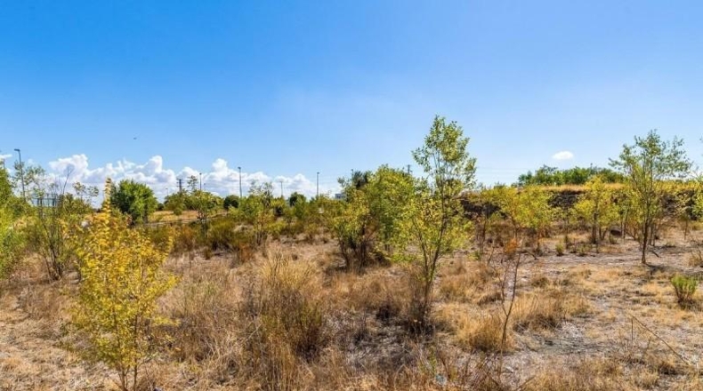 Comunidad de Madrid - Madrid - 4528m2