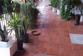 Foto 7