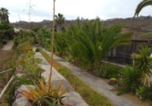 Casa de camp amb terreny en venda a la España, Guía de Isora, ref.: TR141245 foto
