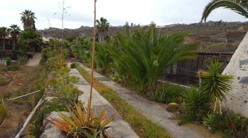 Santa Cruz de Tenerife - Guía de Isora - 13000m2