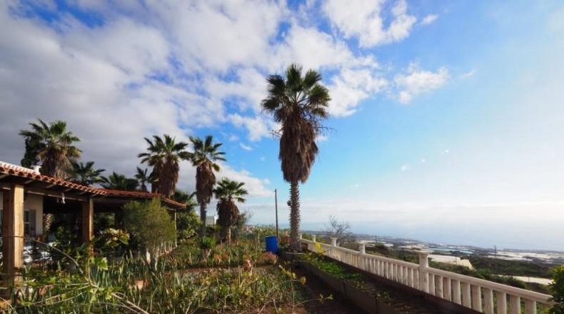 Santa Cruz de Tenerife - Guía de Isora - 13000m2