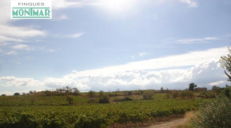 Barcelona - les Cases Noves de Cal Marques - 600000m2