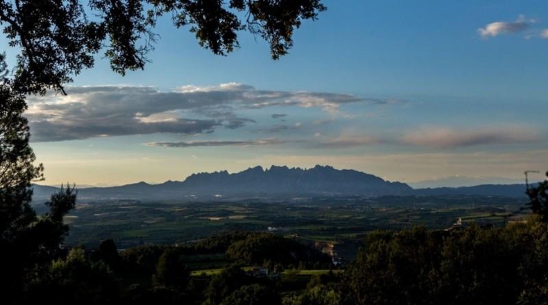 Barcelona - Vilafranca del Penedès - 40000m2