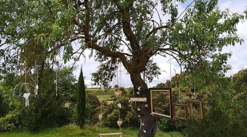 Barcelona - Vilafranca del Penedès - 40000m2