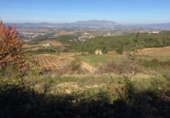 Загородный дом с участком на продажу в городе Vilafranca del Penedès Фото