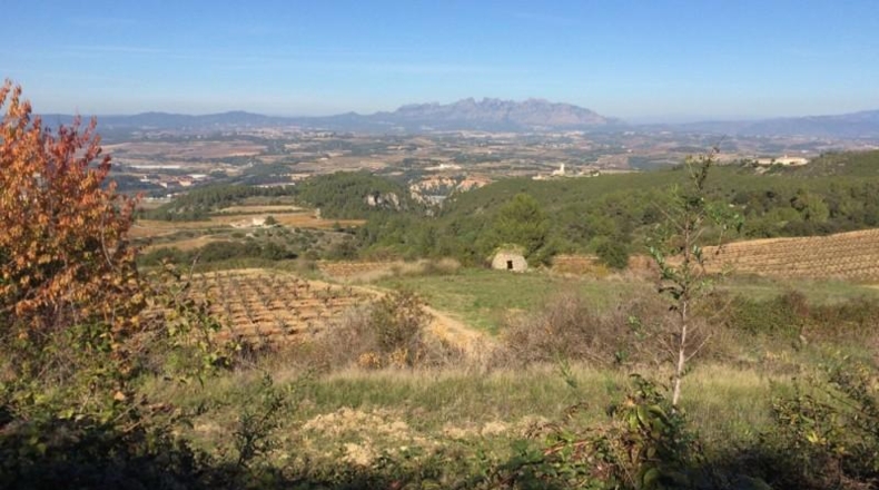 Barcelona - Vilafranca del Penedès - 40000m2