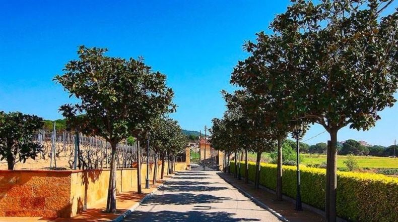 Barcelona - Tordera - 11800m2