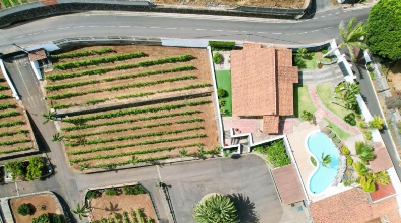 Santa Cruz de Tenerife - San Cristóbal de La Laguna - 25000m2