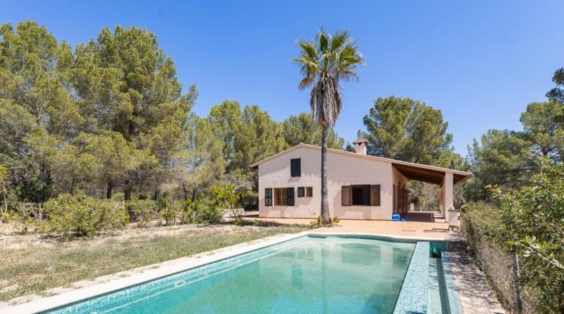 Islas Baleares - Calvià - 35000m2