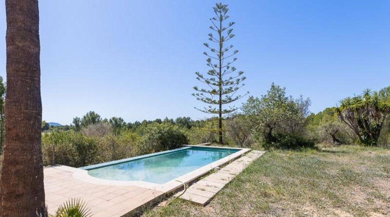 Islas Baleares - Calvià - 35000m2