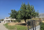Chalet independiente con terreno en venta en la España, Altea la Vieja, ref: TR177597 foto
