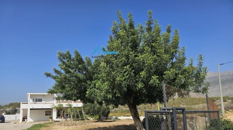 Alicante - Altea - 60000m2