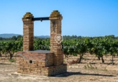 Отдельно стоящий дом с участком на продажу в городе Castellet Фото