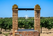 Отдельно стоящий дом с участком на продажу в городе Castellet Фото
