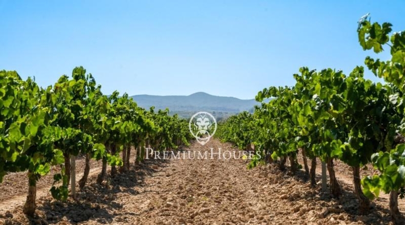 Barcelona - la Gornal - 150000m2