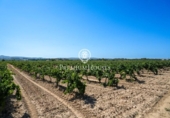 Отдельно стоящий дом с участком на продажу в городе Castellet Фото