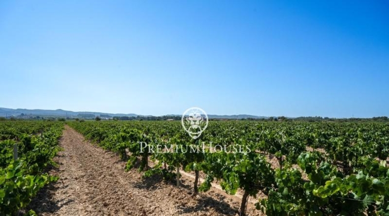 Barcelona - la Gornal - 150000m2